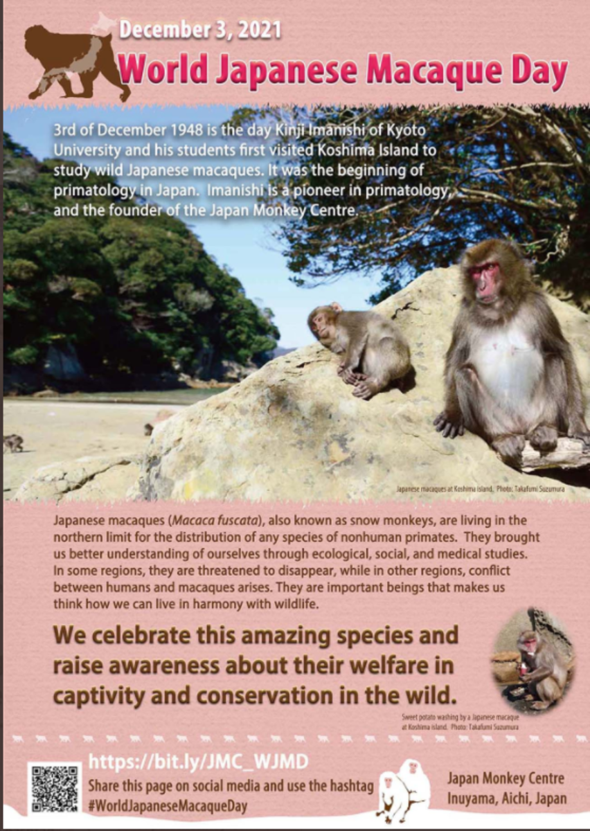 World Japanese Macaque Day