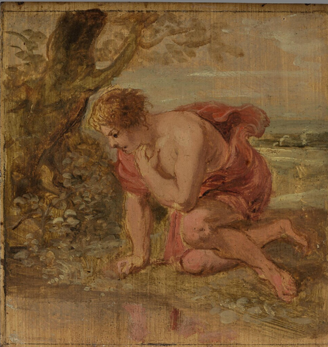 Narcissus is fascinated by his own reflection in the surface of the water. Oil painting by Peter Paul Rubens, 17th century.