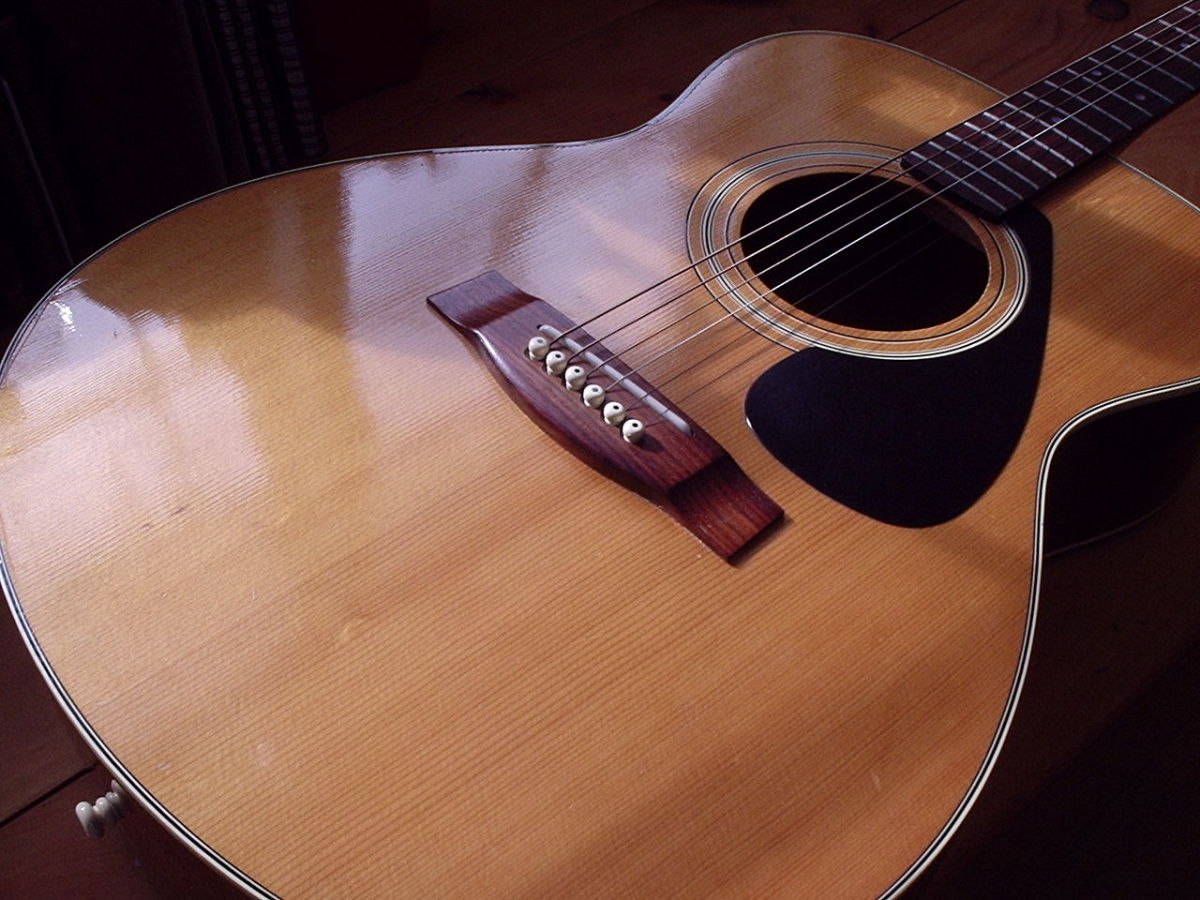 Acoustic guitars often feature spruce tops. 