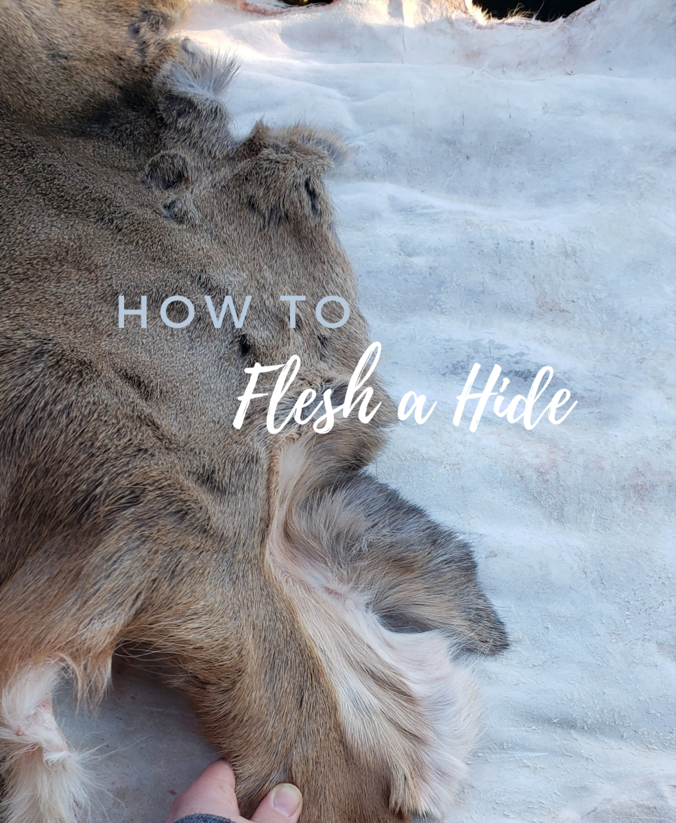 How to Easily Flesh a Hide for Tanning