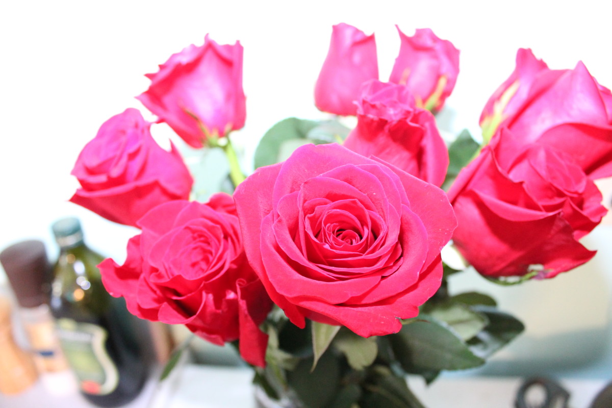 A picture of red roses my husband gave me. It's over-exposed because I'm trying out my new external flash.
