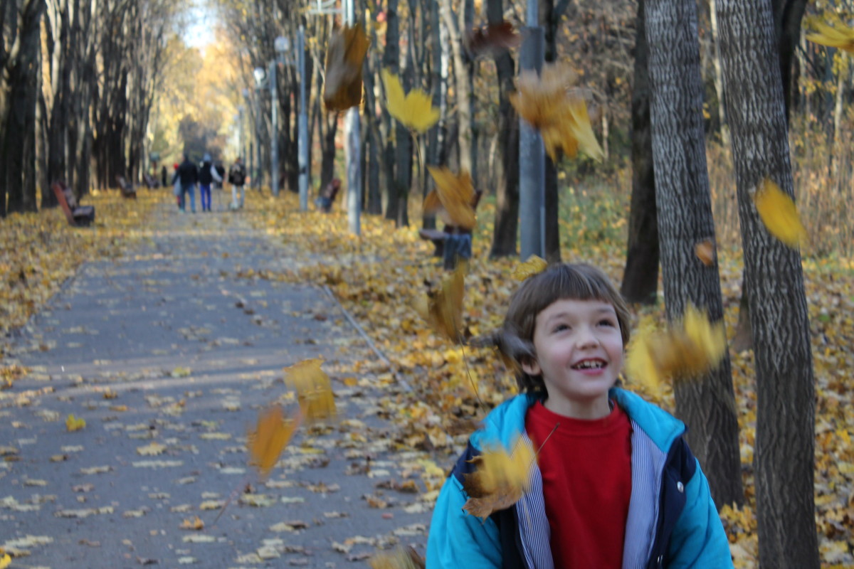 A Russian boy named Seraphim playing with leaves on a warm autumn day in Moscow. October 2013.