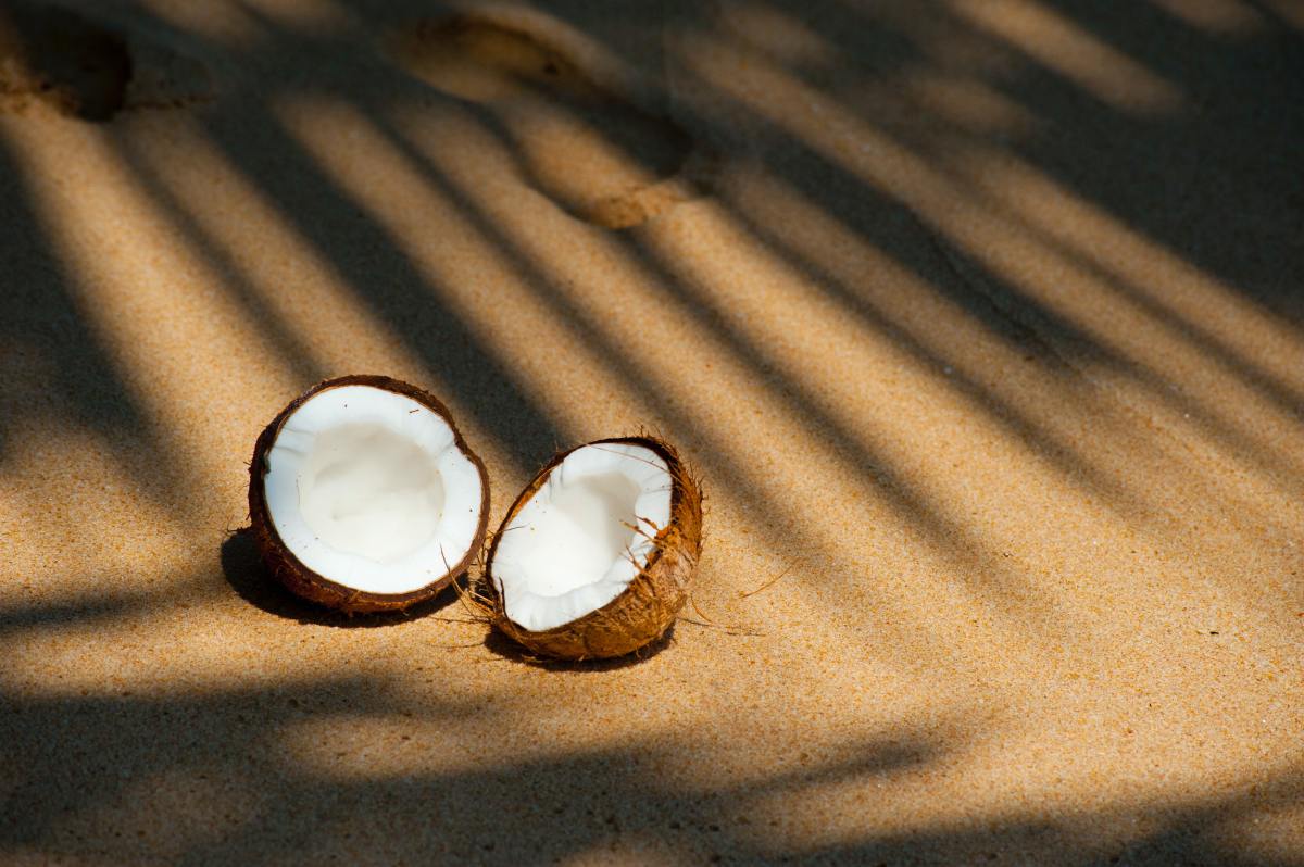 The Saga of the Christmas Coconut