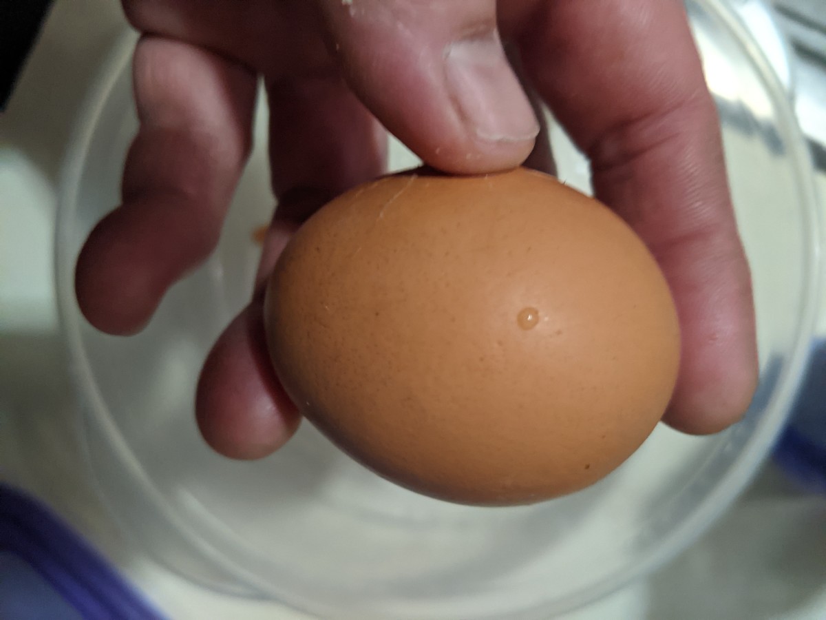 eggs-deviled-and-darn-delicious