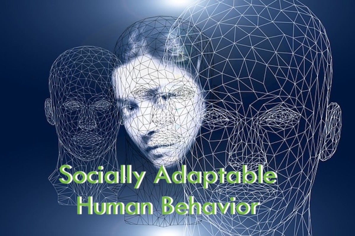 An Analysis of Socially Adaptable Human Behavior