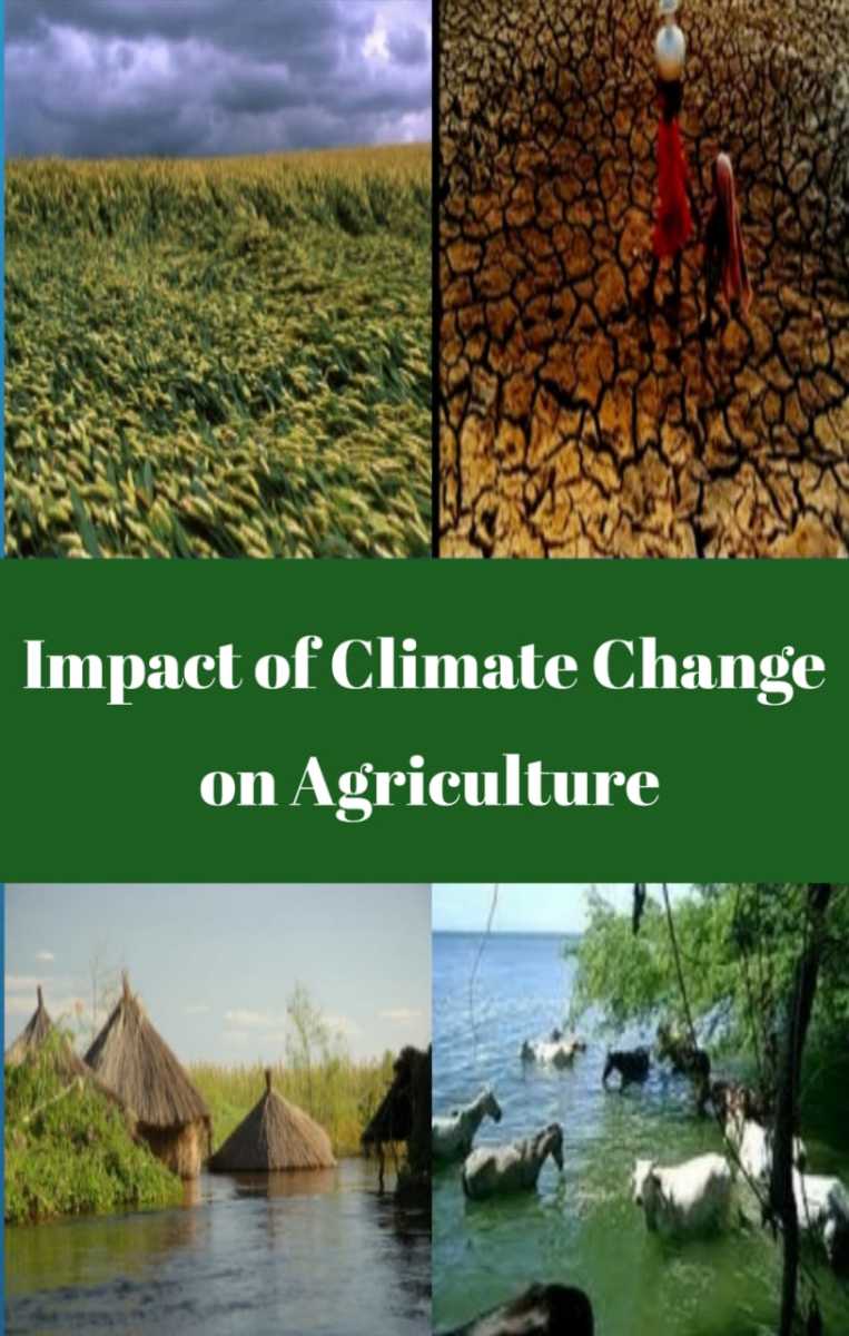 how-to-take-care-of-agriculture-in-a-changing-environment