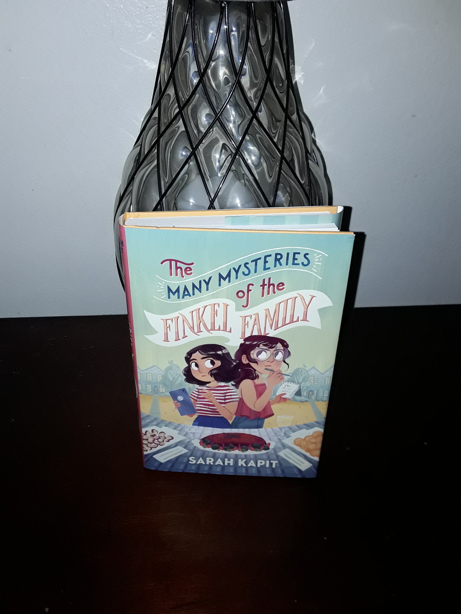 Sibling Rivalry in Family Ends With New Family Relationship and a Solved Mystery in Fun Read for Ages 8-12