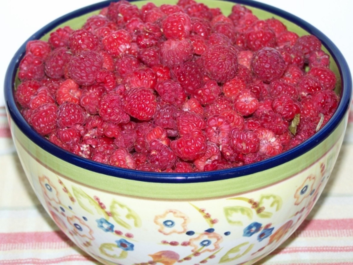 Wild Raspberries from our meadow.