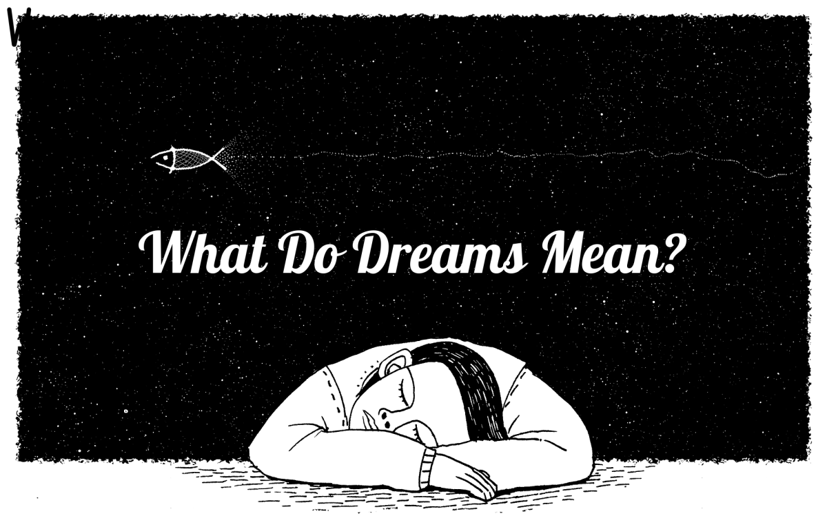 Dreams: What Do They Mean?