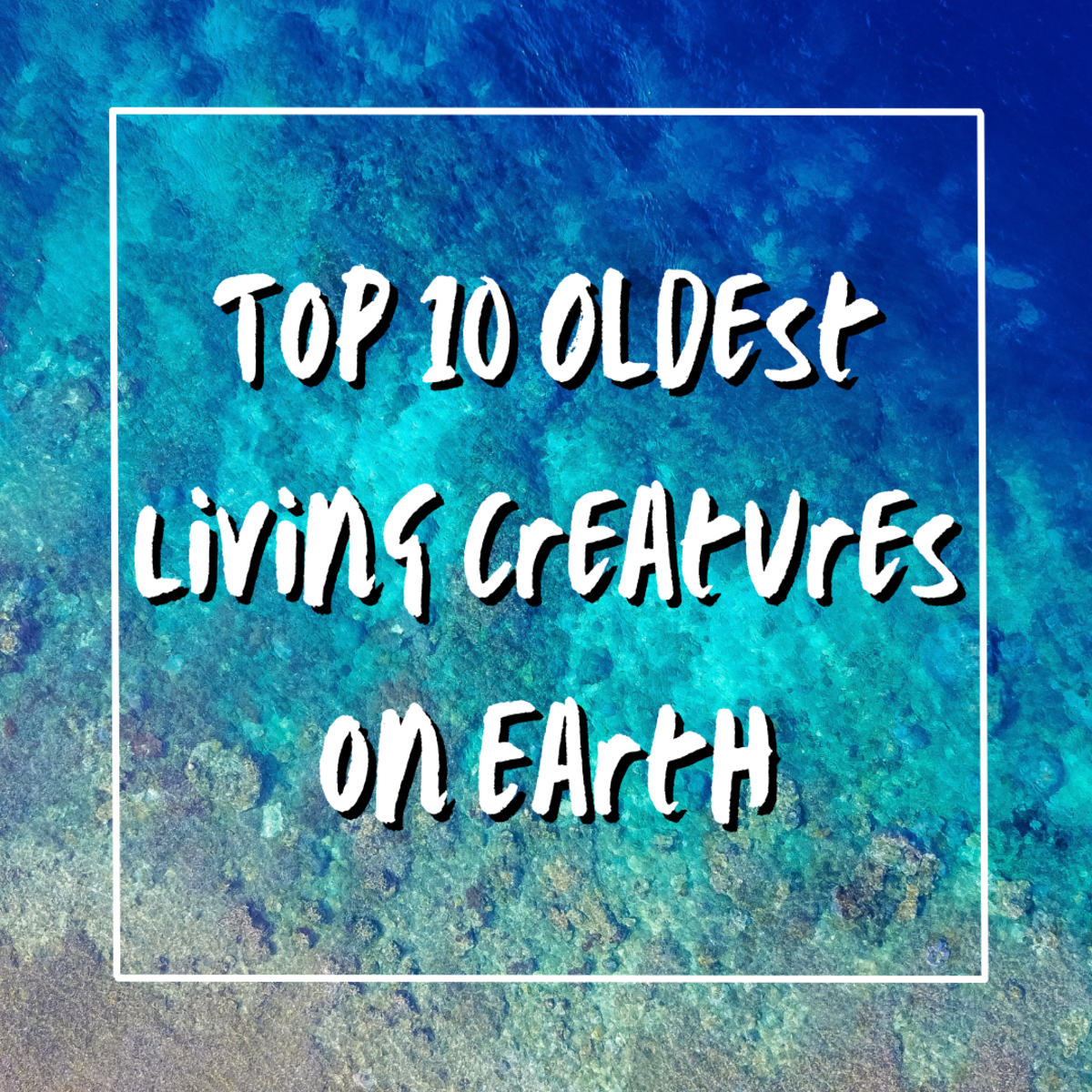 Top 10 Oldest Living Creatures on Earth
