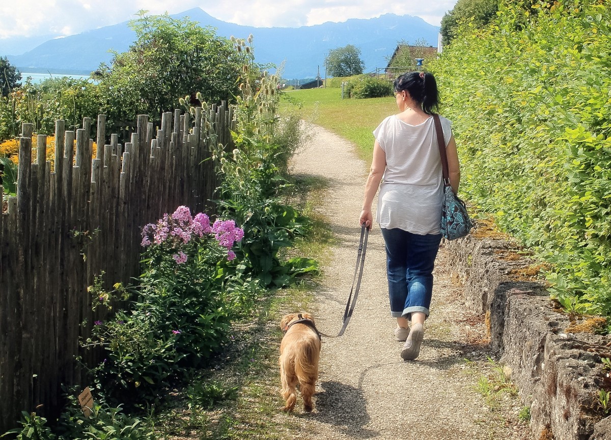 Walking a dog in a pleasant area can be a very enjoyable form of exercise.