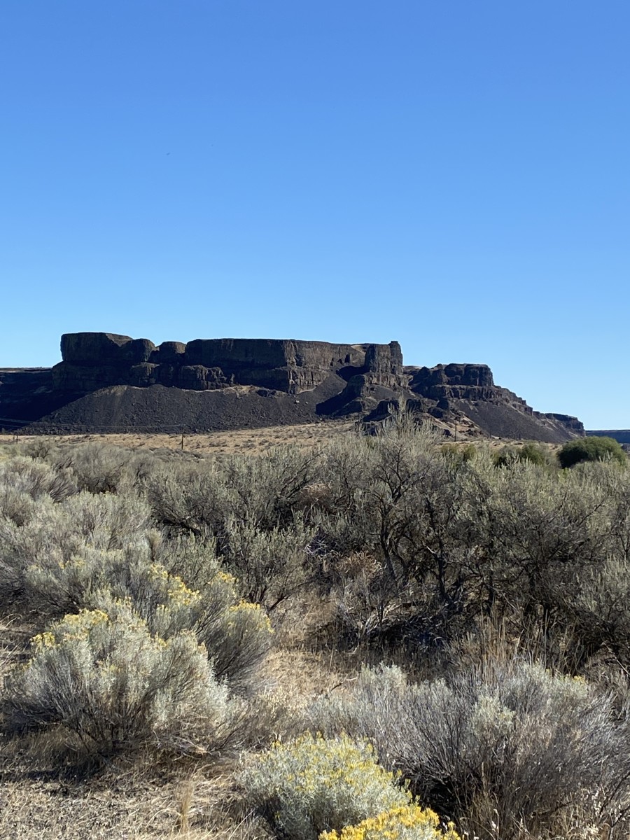 This narrow basalt formation is known as Umatilla Rock. It runs down the middle of the coulee for over a mile, dividing it nearly in half.