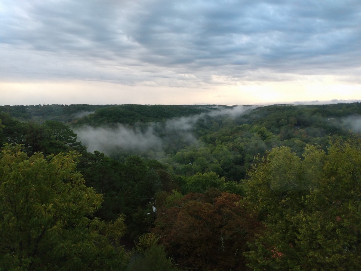 从我们的房间往外看:晨雾笼罩在阿肯色州尤里卡泉的山谷和山谷中