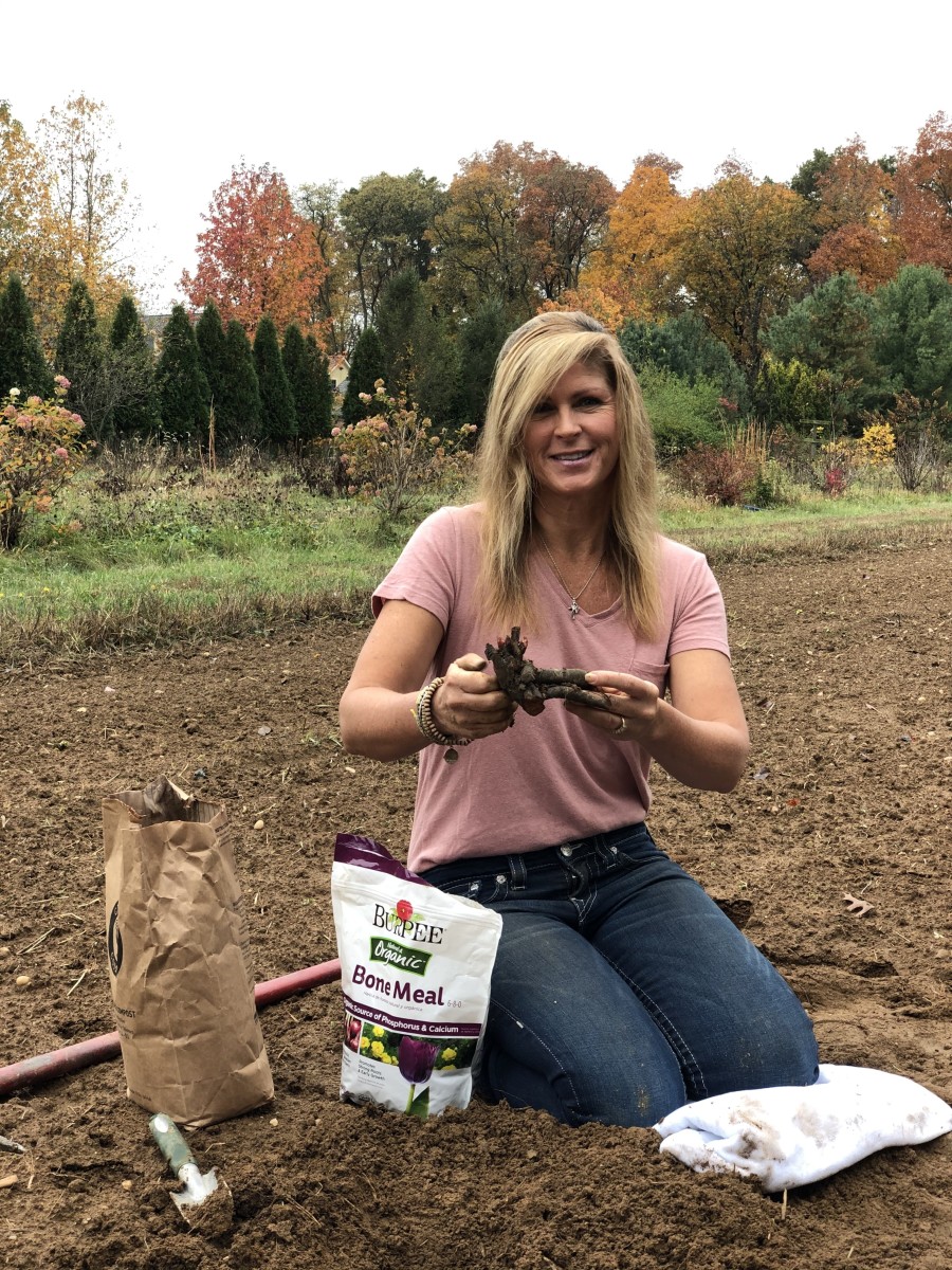 Kelly Lehman has lots of tips for putting your fall garden to bed for the winter, from planting tubers to thinking twice before you fertilize. 