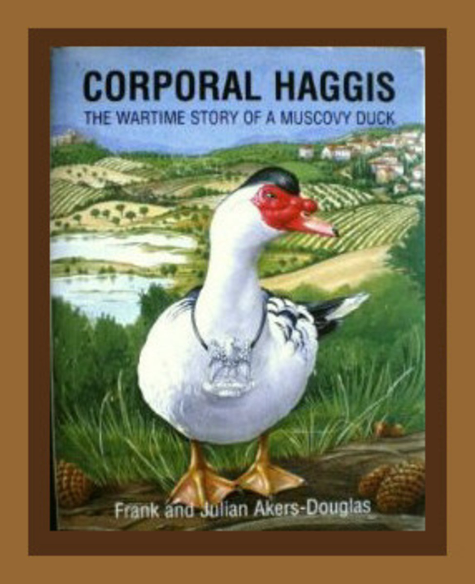 From our copy of Corporal Haggis