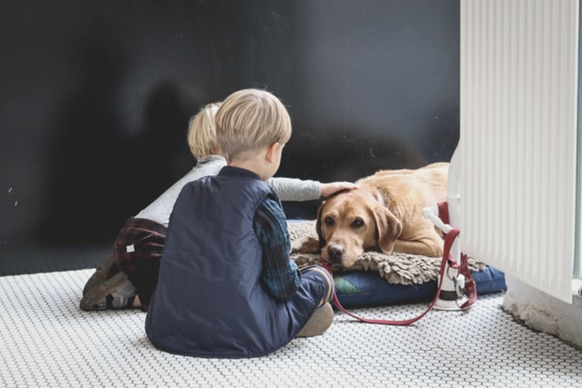 8 Reasons Why Pets Are Great for Young Children