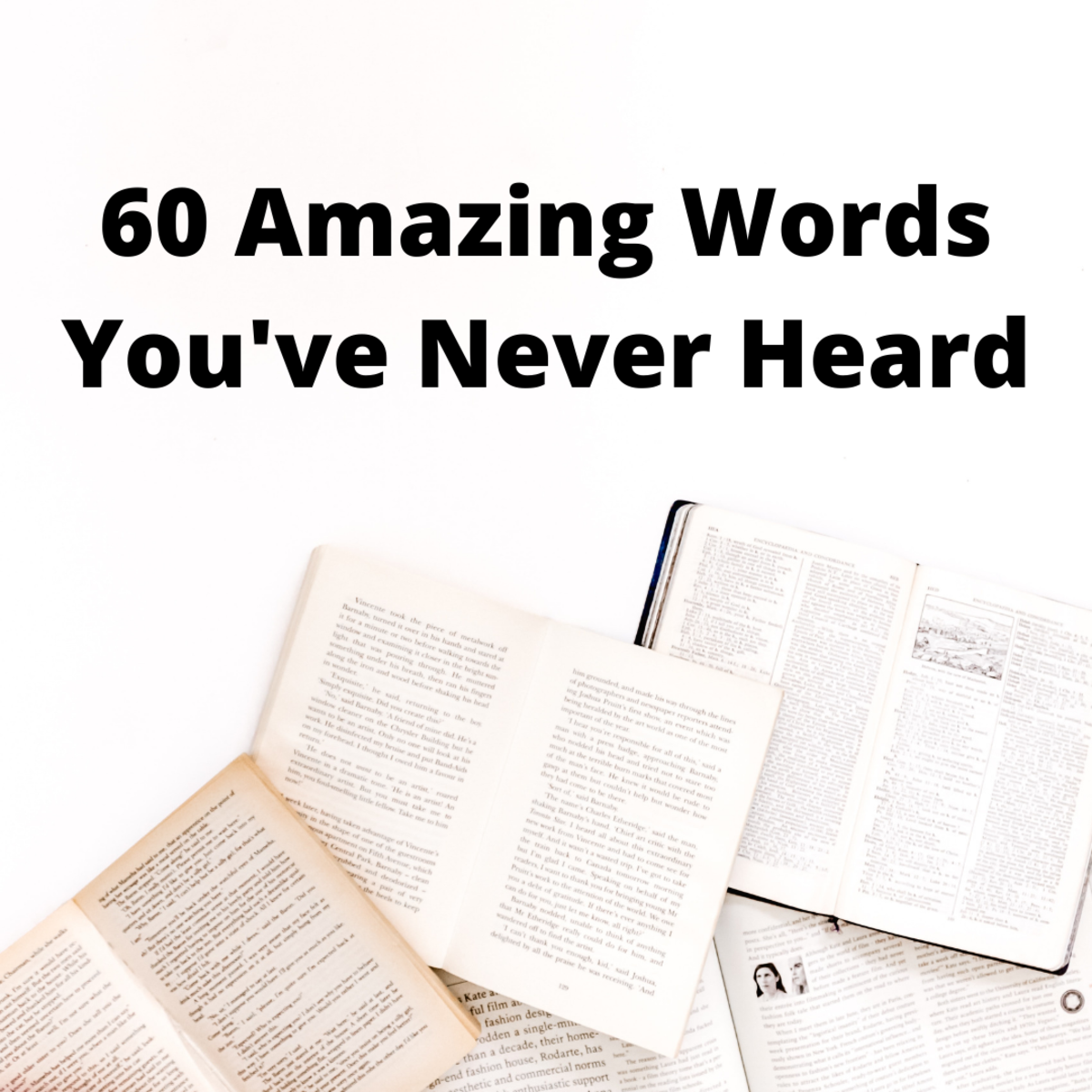 In this article, you'll learn 60+ words you've probably never heard. If you need to win a game of Scrabble or need help finding the perfect word for your short story, this list is for you! Each word is further explained by being placed in a sentence.