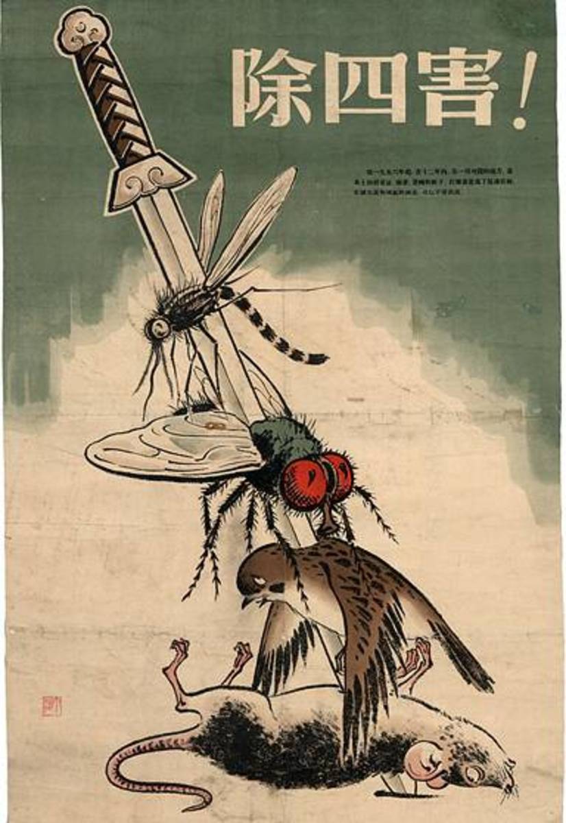 Propaganda poster from the four pests campaign. 