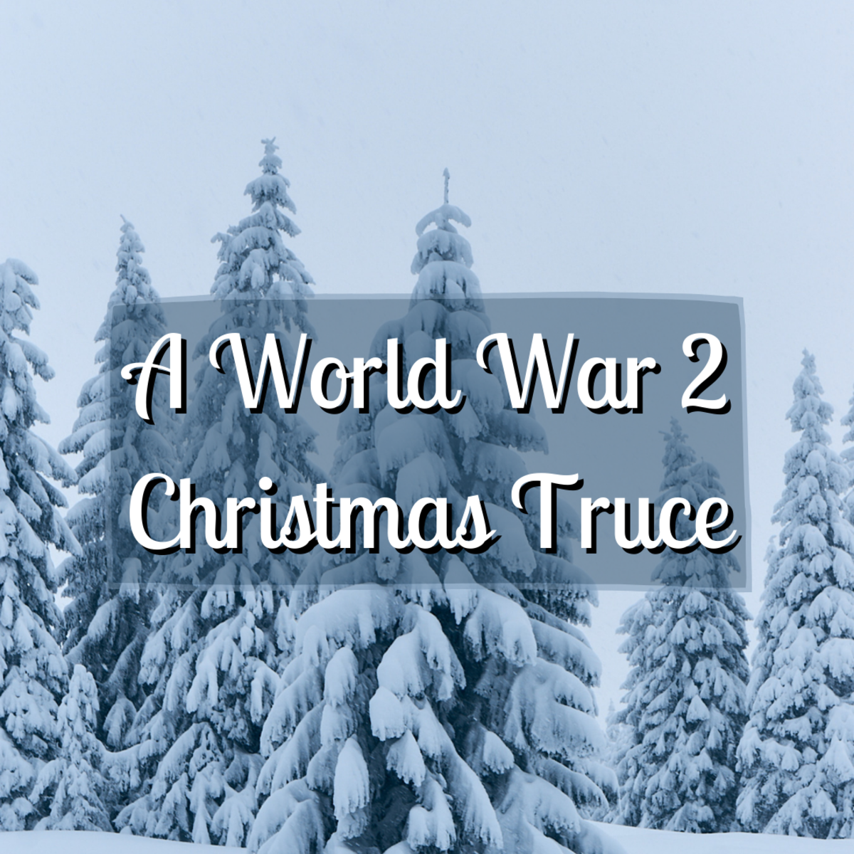 A Small Christmas Truce During World War 2