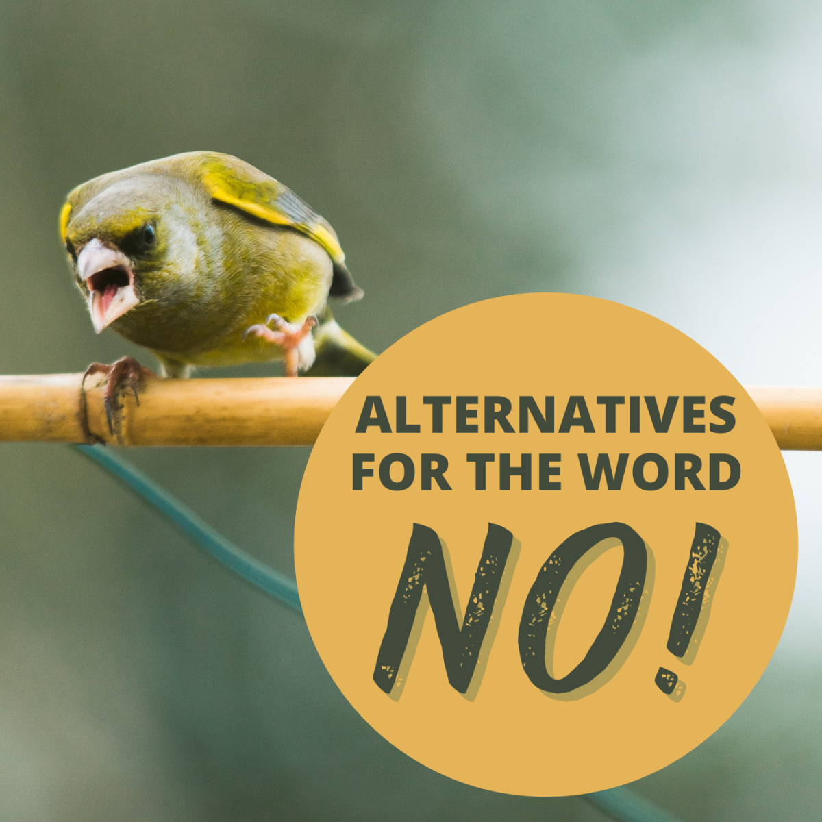 Trying to say "no" in a different way? Use one of these alternatives!