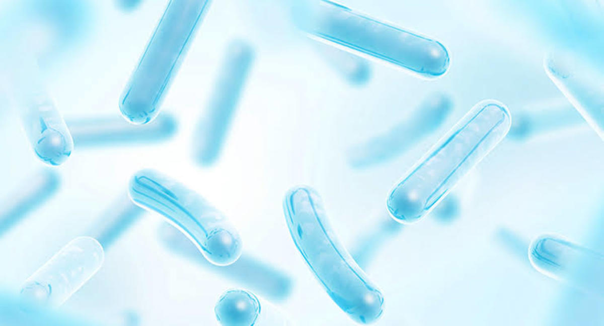 Why Are Probiotic Important?