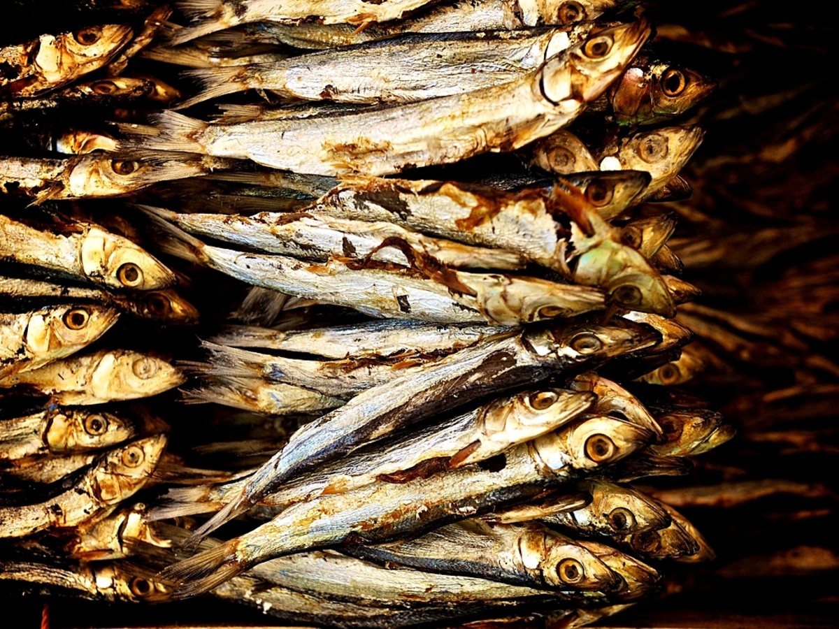 Dried, Salted Fishes that Filipinos Often Eat with Champorado