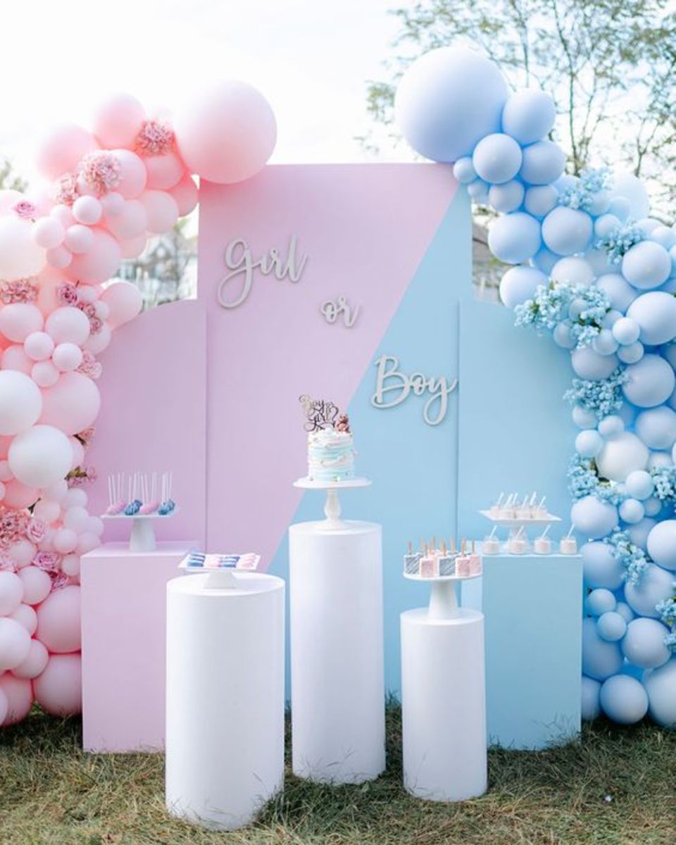 Gender Reveal Party Decorations and Baby Shower Decoration Ideas
