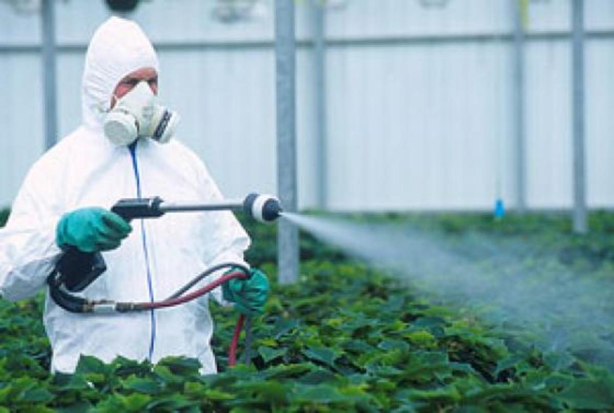 Man spraying pesticides on crops