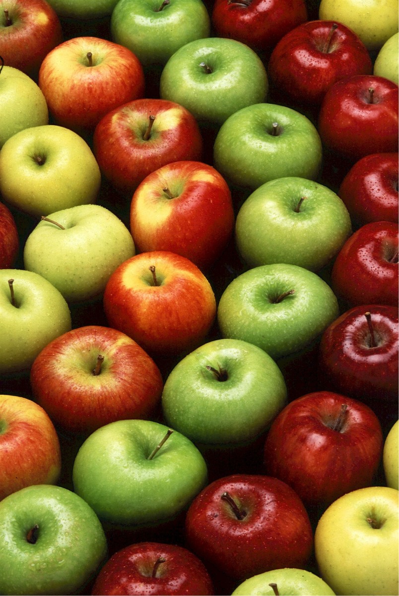 Two new Genetically Modified Arctic Apple Varieties are scheduled to be available in 2016.