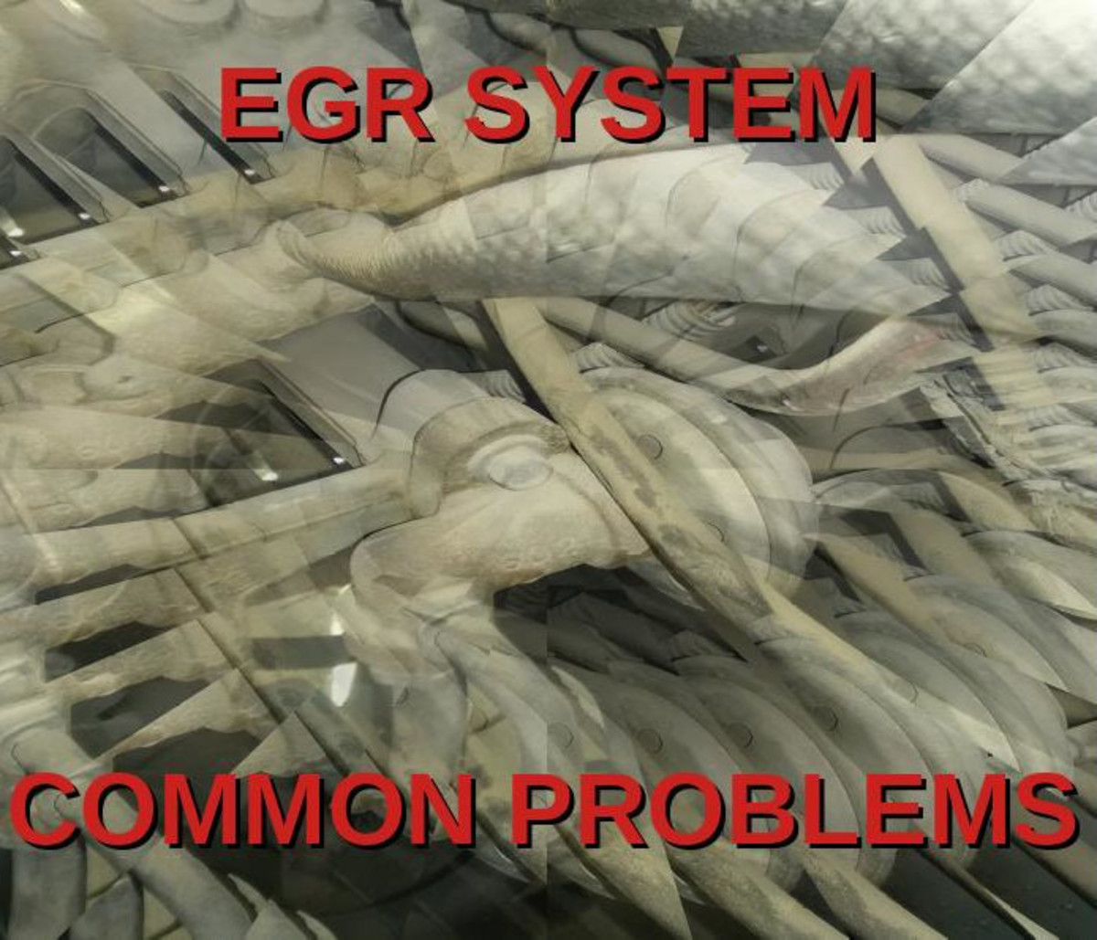 Let's explore your car's EGR system!