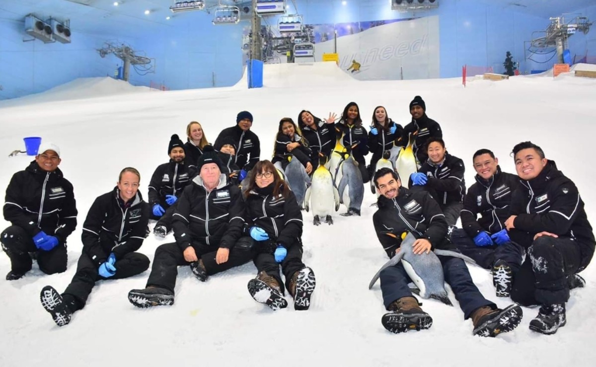 the-penguin-programme-in-ski-dubai