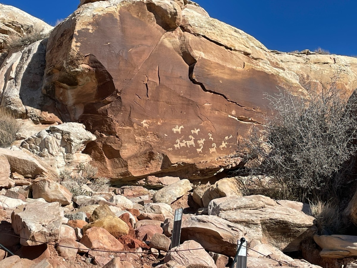 These petroglyphs were carved sometime between A.D. 1650 and 1850. This rock art panel is important to many Native Americans in this region because it was created by their ancestors. 
