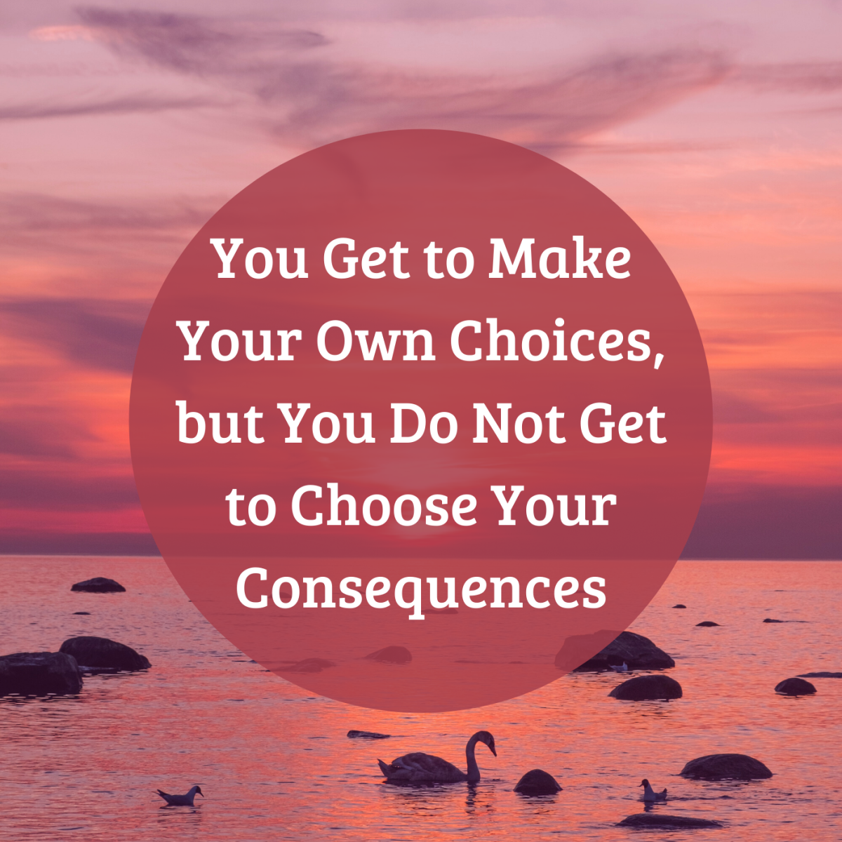 Every choice you make has a consequence.
