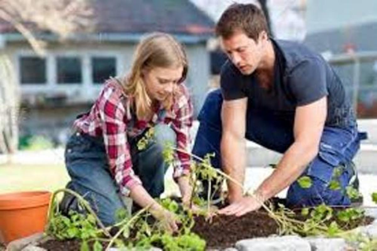 A Couple Absorbed in Gardening Hobby Forgetting their Rows