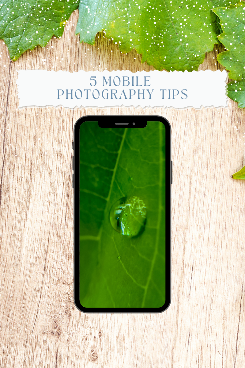 5 Mobile/Tablet Macro Photography Tips