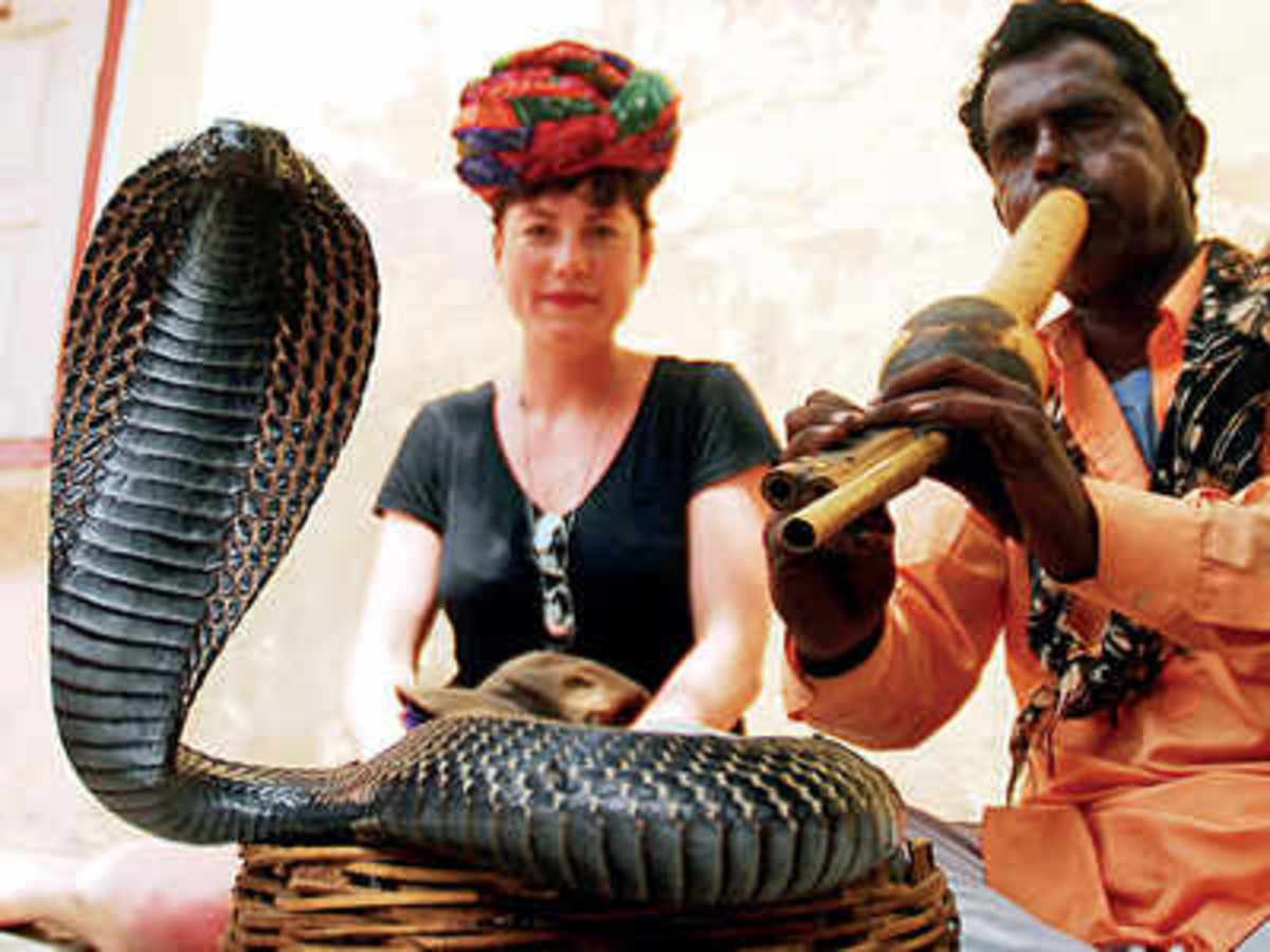 the-art-of-the-snake-charmer-india