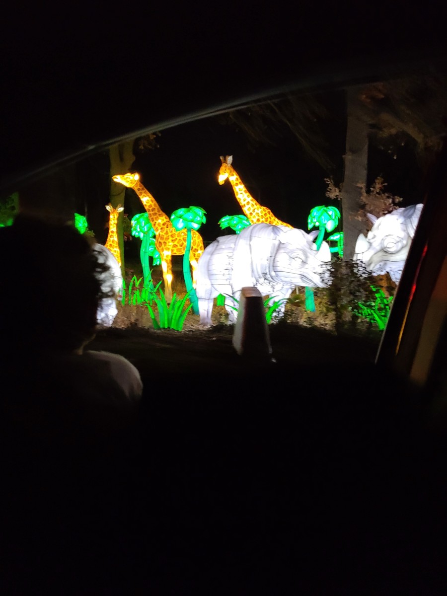 oklahoma-zoo-safari-lights