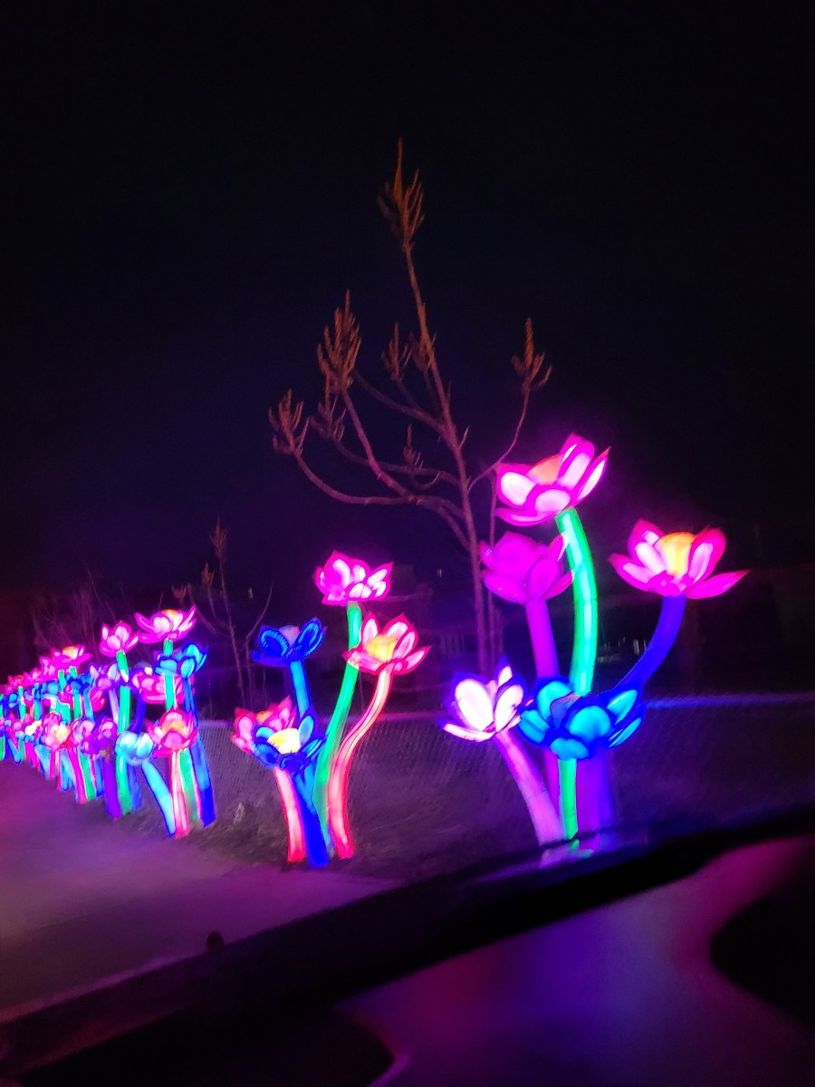 oklahoma-zoo-safari-lights