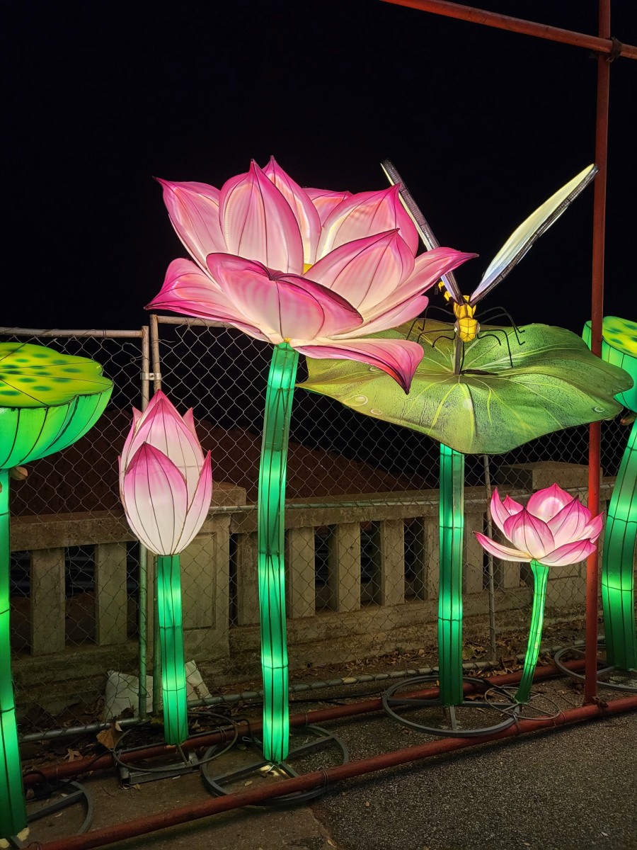 Oklahoma Zoo Safari Lights HubPages