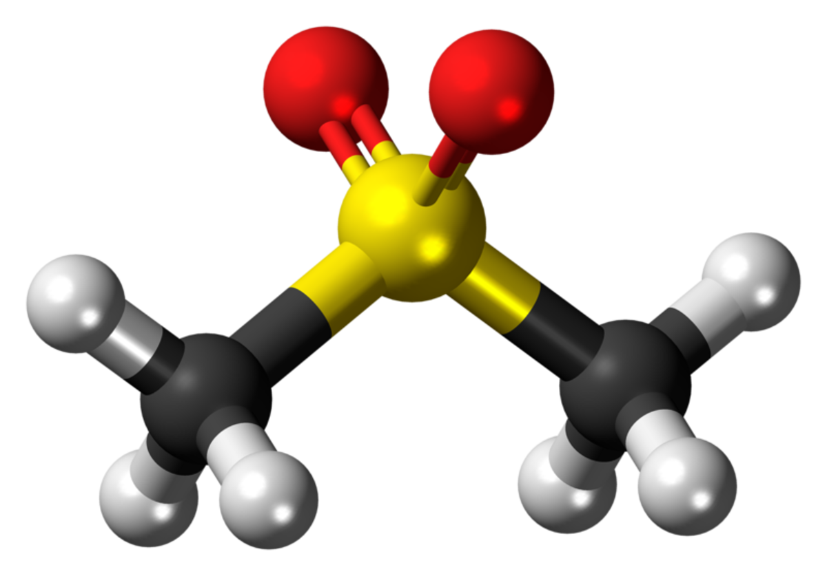MSM (methylsulfonylmethane) molecule