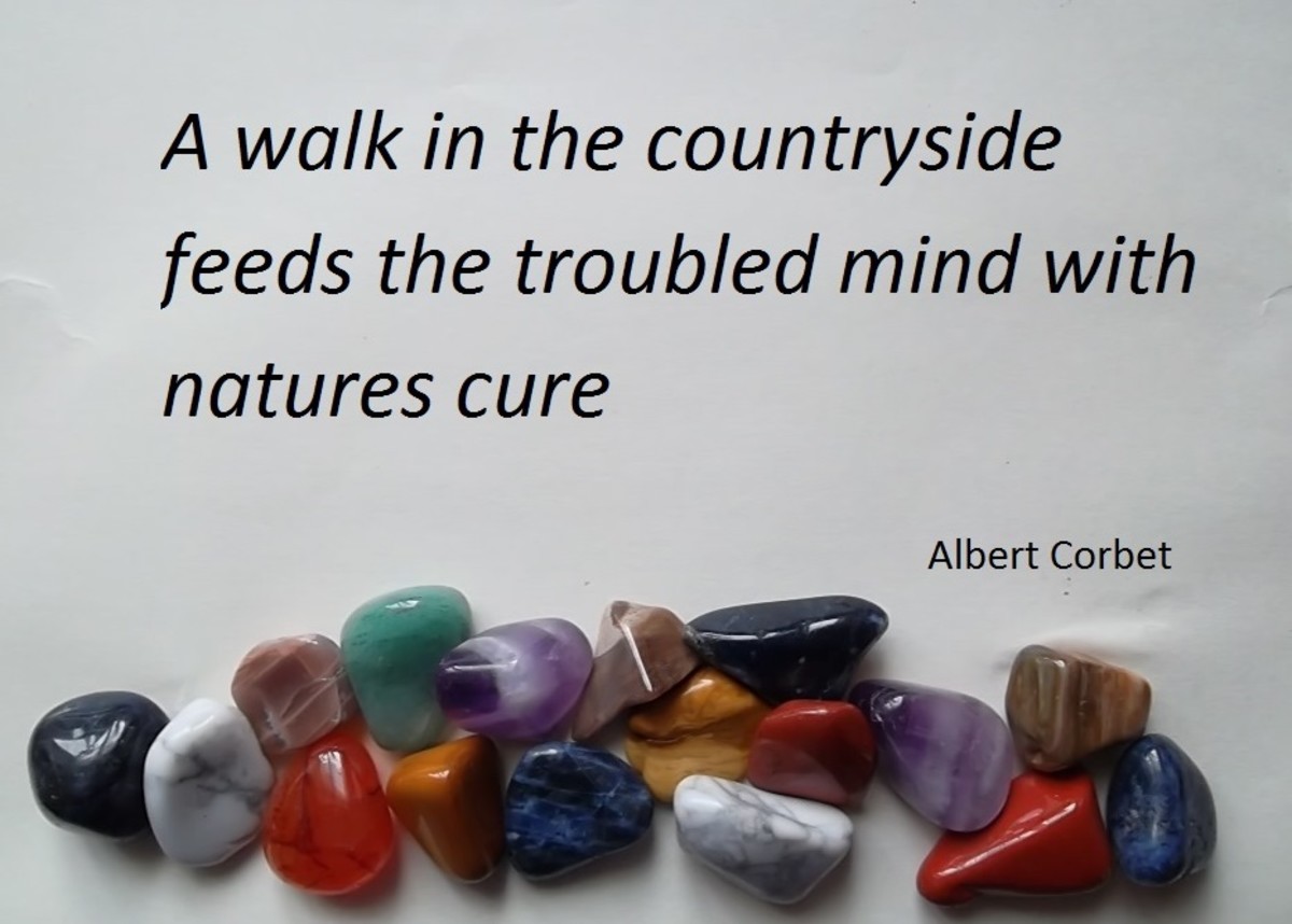 Quote by Albert Corbet