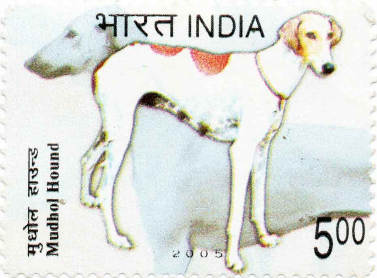 Postage Stamp Issue on the name of Mudhole Hound Dog