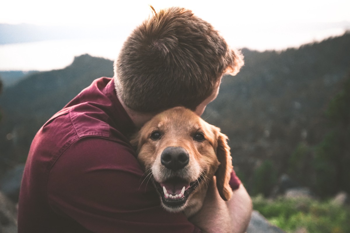 3 choses essentielles que tout propriétaire de chien devrait savoir | Dog Love Design