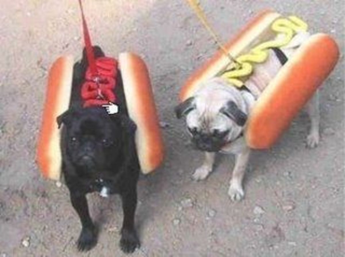 September 11th - Hot Dogs