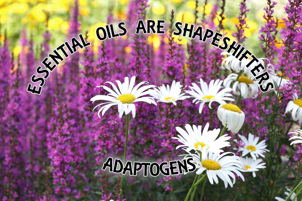 Essential Oils Are Shapeshifters