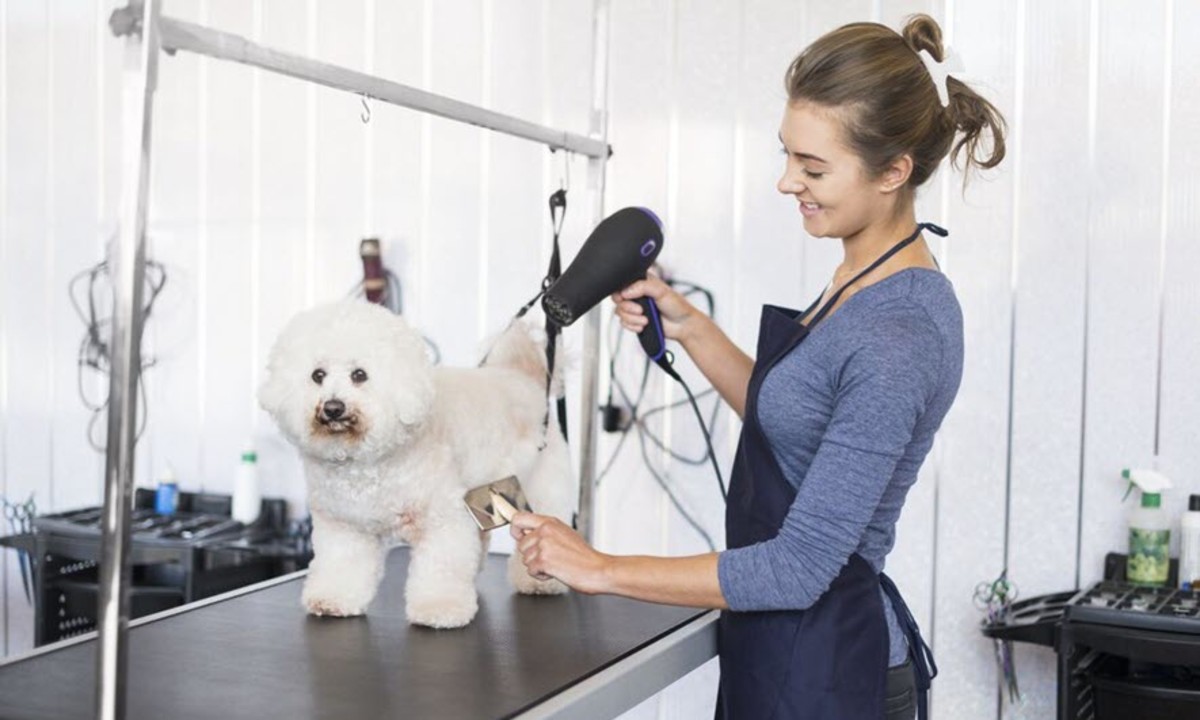 All You Ought To Know About Mobile Pet Grooming