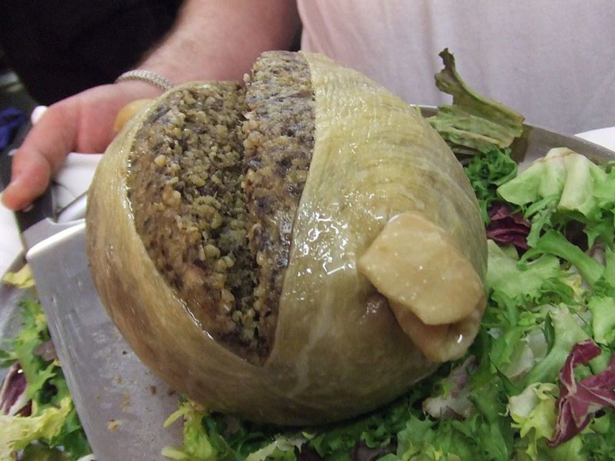There can be few things less appetizing to look at than haggis. The salad looks fine though.