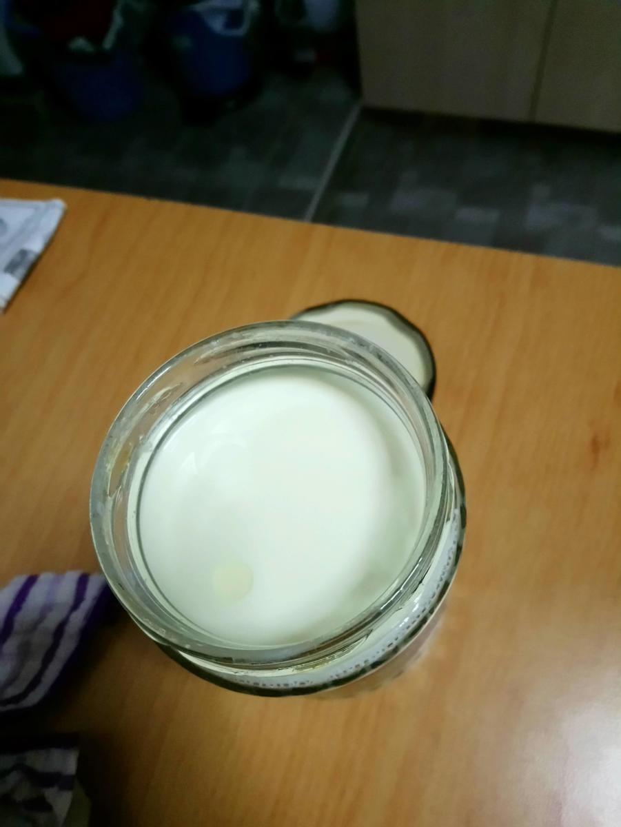 Pour milk about 3/4 full into an approximately 550ml jar. 