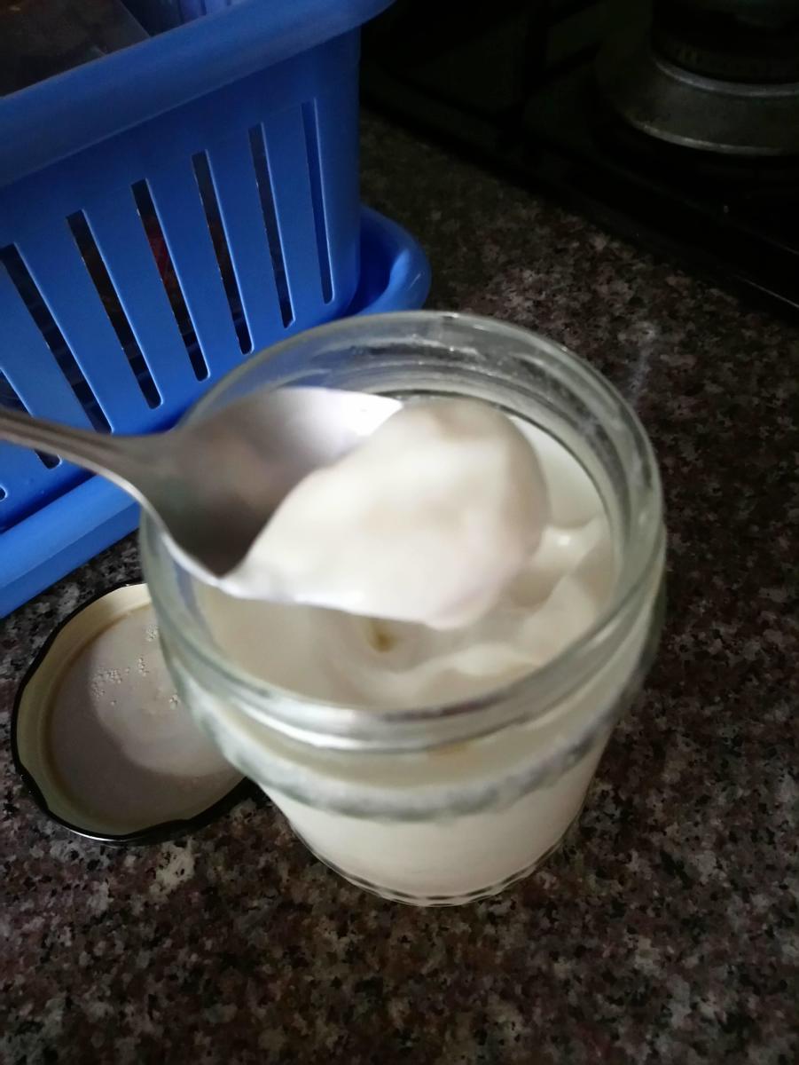 Your homemade yogurt-full of goodness is ready to be served the next morning!