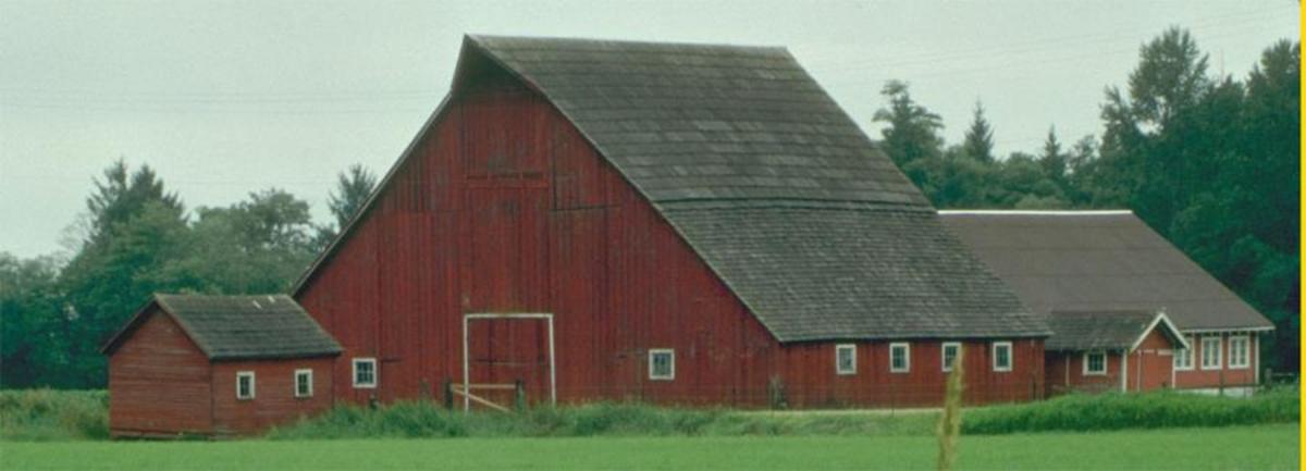 The iconic barn image of "The Homeplace Saga" stories